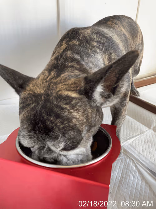 Item #99685864258770601277757069699041273913103300030191572471139504824164655562753 Media