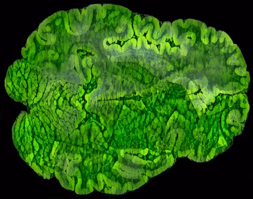 Item #29877578668728852178902598419785793077778618348046200683544678259074455830529 Media