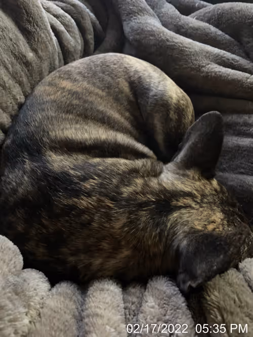 Item #99685864258770601277757069699041273913103300030191572471139504719711050924033 Media