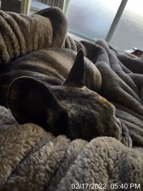 Item #99685864258770601277757069699041273913103300030191572471139504720810562551809 Media