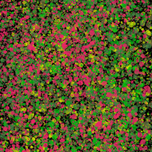 Item #7965548957634048696058756427613810033332288381231321723297303193293110116353 Media