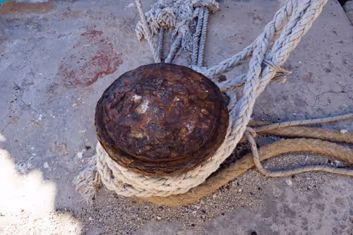 Item #99206175731752603969632246751396839615347692654100145142238794268708247175172 Media