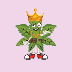 91388360688373327635579820732488516580785449605056093369104029426180801167361