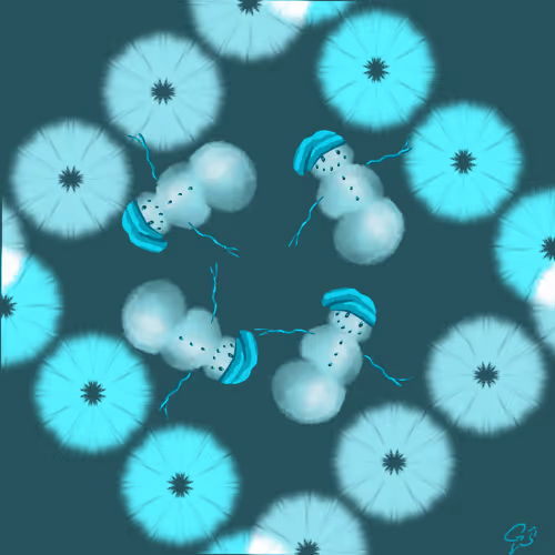 Item #60902389994498108006567949928066590518751133512412628491509275608755176734721 Media