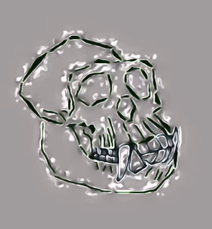 Item #80926432860847288351557924068159633664804178470775081465336394998397521625089 Media