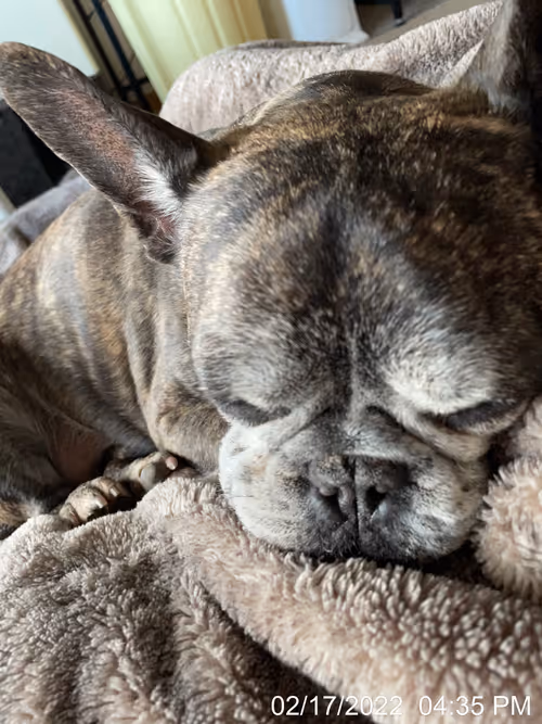 Item #99685864258770601277757069699041273913103300030191572471139504706516911390721 Media