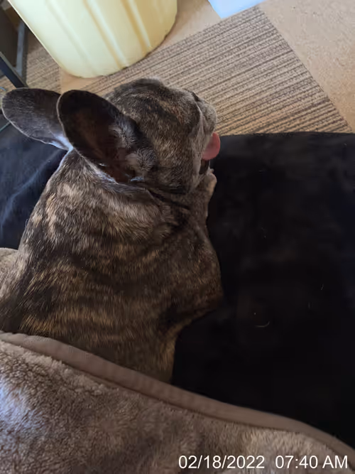 Item #99685864258770601277757069699041273913103300030191572471139504813169539284993 Media