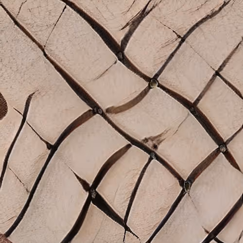 Item #58241160855422744817468407088196322100109565521561100950236908128640947978241 Media