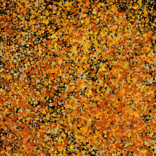 Item #7965548957634048696058756427613810033332288381231321723297303203188714766337 Media