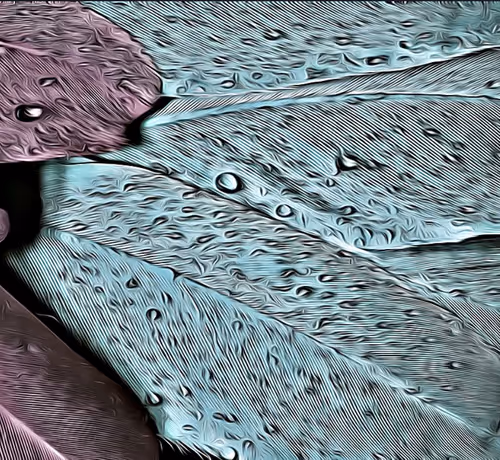 Item #6149779074406706535937189605228961934585844034215787153183181497483889999873 Media