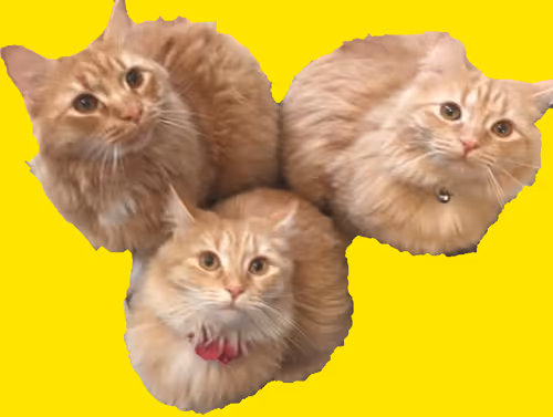 Item #94805265999709624542573221324772378019818175988873368548427765415088196943873 Media