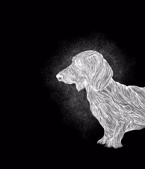 Item #48216677678887992956199146050101977369740452437452834237877791786245050859530 Media