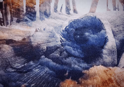 Item #99039213466488720517615806557200583035476639991416134550514204960849838211073 Media