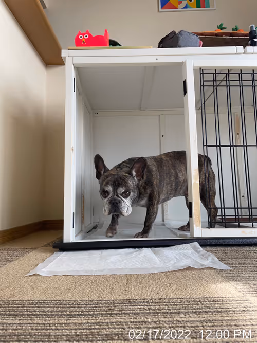 Item #99685864258770601277757069699041273913103300030191572471139504646043771863041 Media