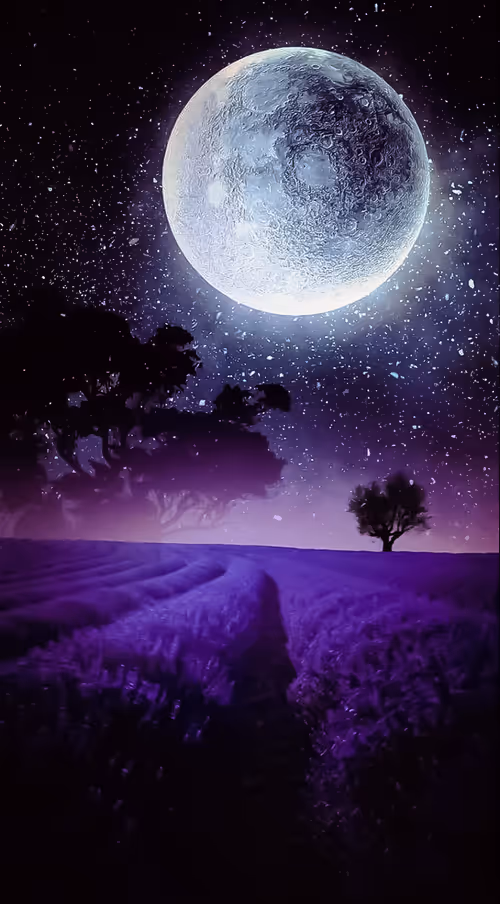 Item #112643705971008067726643793676849941688373610441661815483417522074055880998913 Media