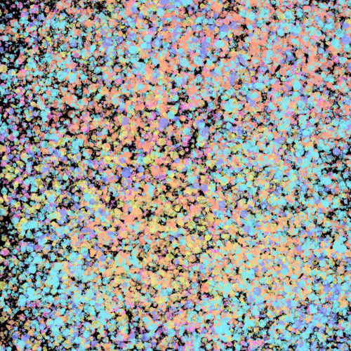 Item #7965548957634048696058756427613810033332288381231321723297303242771133366273 Media