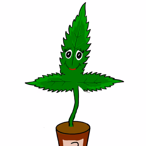 3629226787036885345407013839473637357726433756934680638690710331433687187457