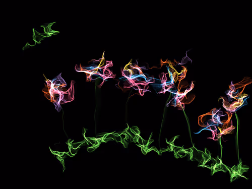 Item #78383002383355944225959986236547179182726831063030231167604627908007835992065 Media