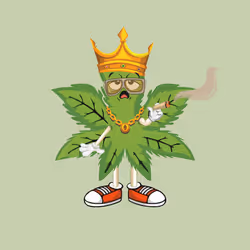 91388360688373327635579820732488516580785449605056093369104029440474452328449