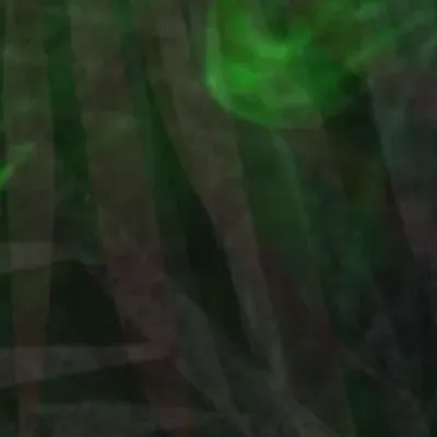 Item #58657014090862667548655853218032649544374644375505803723305169463262184472577 Media