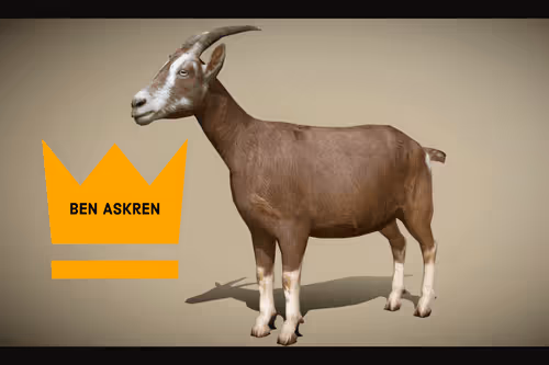 Item #102267934003768051420960461170749806257819417914869888354661391655020200460289 Media