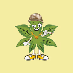 91388360688373327635579820732488516580785449605056093369104029360210103500801