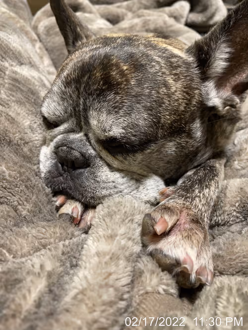 Item #99685864258770601277757069699041273913103300030191572471139504797776376496129 Media