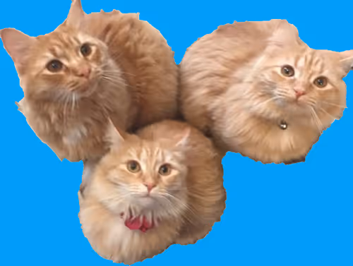 Item #94805265999709624542573221324772378019818175988873368548427765409590638804993 Media