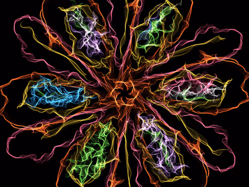 Item #78383002383355944225959986236547179182726831063030231167604627905808812736513 Media