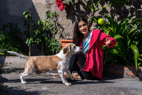 Item #68974856610287891345398477420152131783231641207281089982933452562695062552577 Media