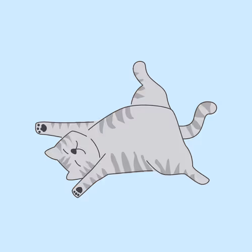 Item #112500818710330054767649095233578717987360259005227425519009153299776024870913 Media