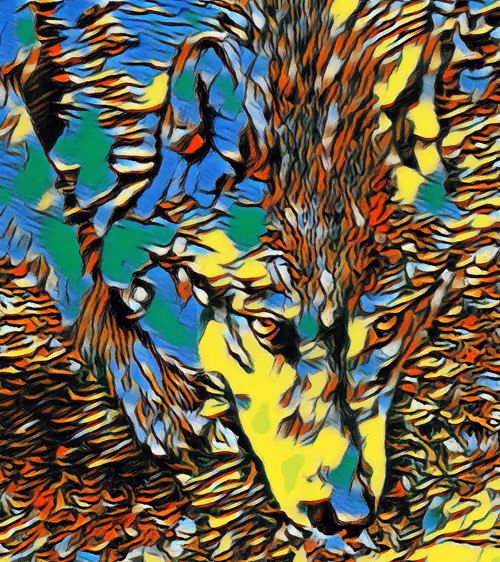 Item #22623297383426892917101335270761698949847758593200202890070986055461246074930 Media