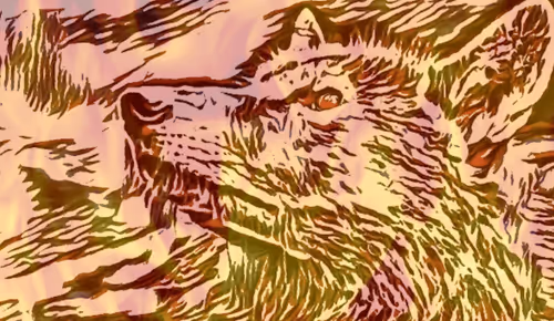 Item #22623297383426892917101335270761698949847758593200202890070986068655385608692 Media