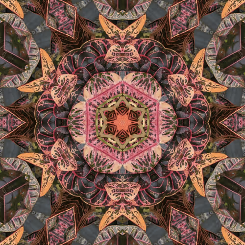 Item Media