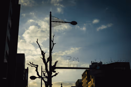 Item #75065985260739266444777929662432875399441467076595955029460665876221203054593 Media