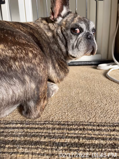 Item #99685864258770601277757069699041273913103300030191572471139504695521795112961 Media