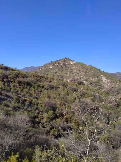 Item #109710830588480399268409455357539415839296167473445884238230358341684945747969 Media