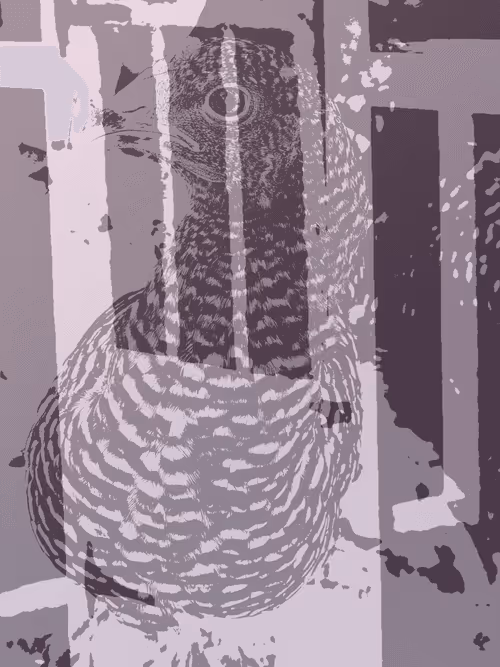 Item #111652930109264043611935341067736255756439208084570795366540966572056631050241 Media