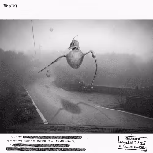 Item #17861321619876502400061855719940177044810550819980261895169355646575807823877 Media