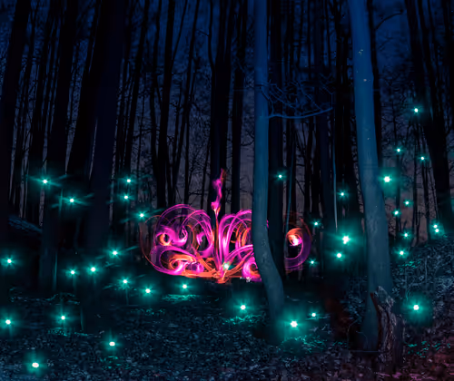 Item #114520185407821149204581307009181391760561859440781731159450127350624946225153 Media