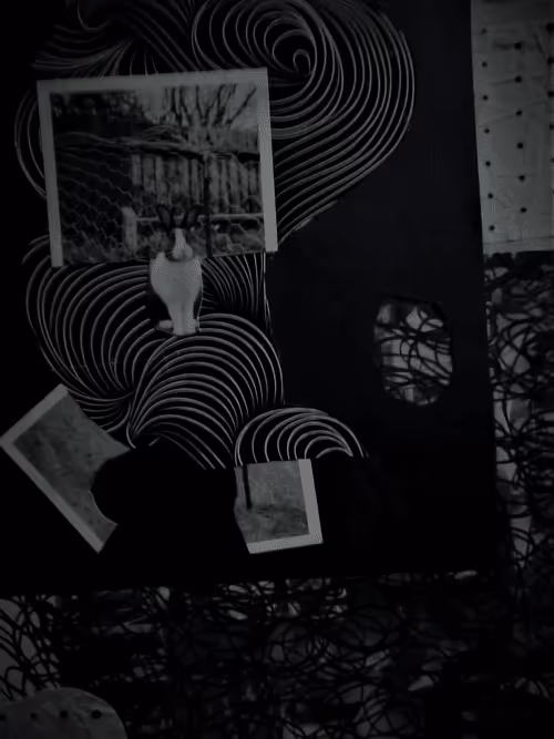 Item #85043563857425734787029872858228068518532895461354812368453170902220664733697 Media