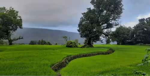 Item #39916610678052500138596211548792698776473563312308341193271399264327590477825 Media