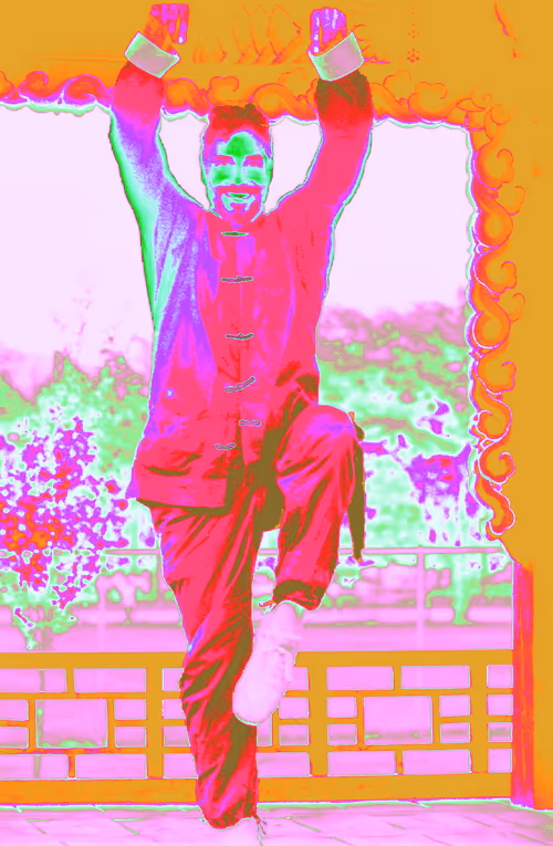 Item #33837607000032352885927809074044552355020479936404486384619596413171241320548 Media