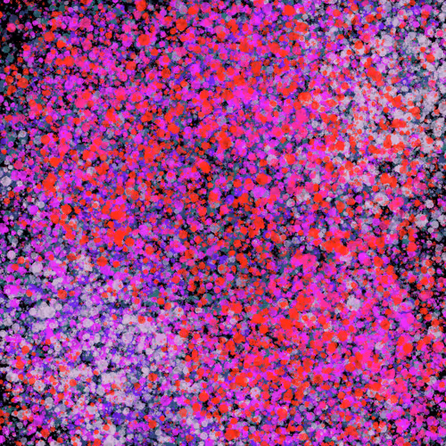 Item #7965548957634048696058756427613810033332288381231321723297303211984807788545 Media