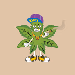 91388360688373327635579820732488516580785449605056093369104029443772987211777