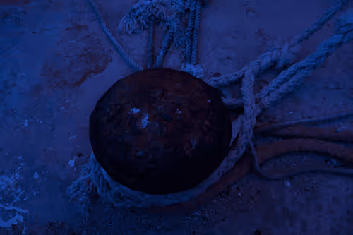 Item #99206175731752603969632246751396839615347692654100145142238794224727782064130 Media