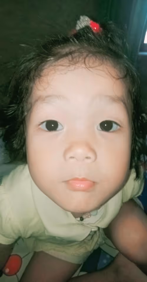 Item #63526853826198392406713632396927402135377910801782658572975433542130483593217 Media