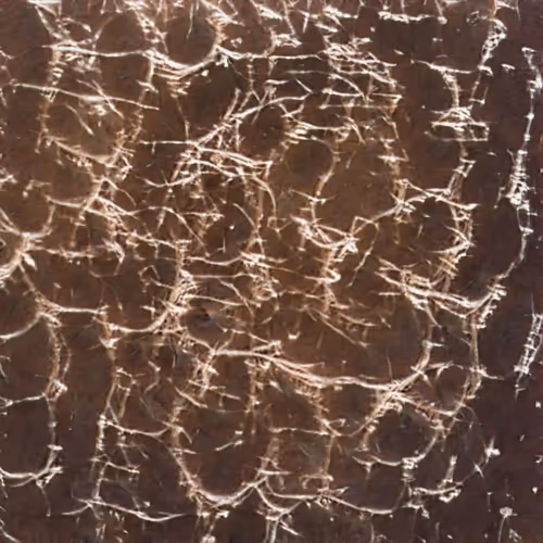 Item #58241160855422744817468407088196322100109565521561100950236907313902831796225 Media