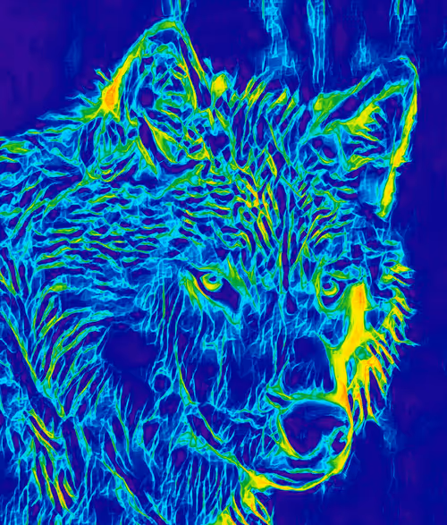 Item #22623297383426892917101335270761698949847758593200202890070986062058315841546 Media