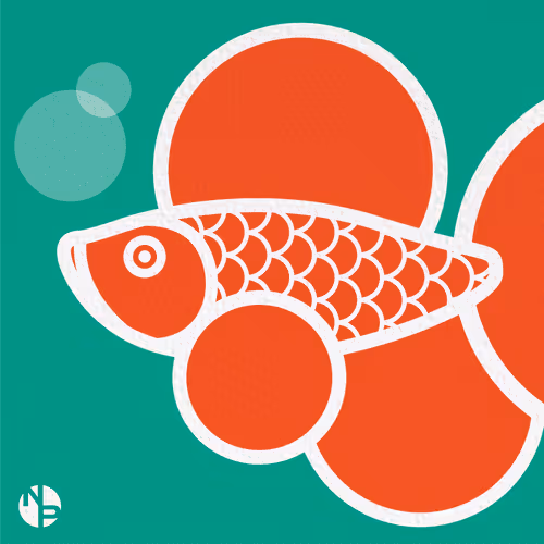 Item #13179896172634312991118707187973137742077787278544405156320447608498851676161 Media